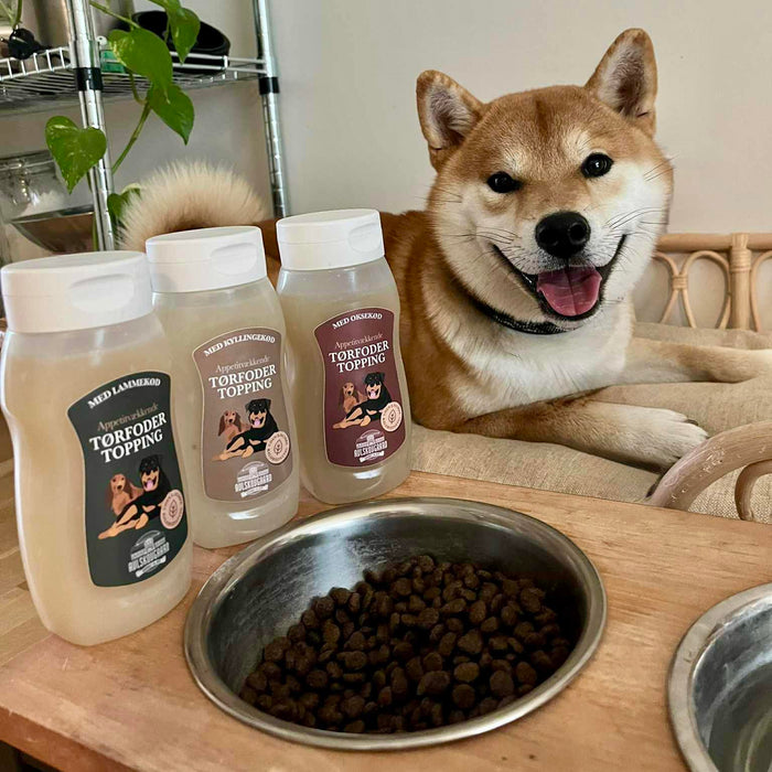 Hund ved foderskålen med Avlskovgaard-flasker