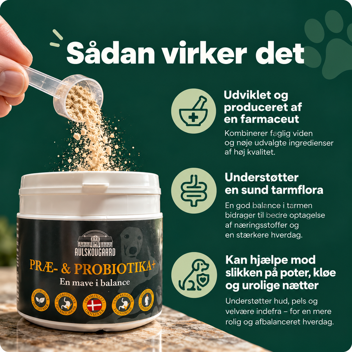 PRÆ- & PROBIOTIKA+ 200 G