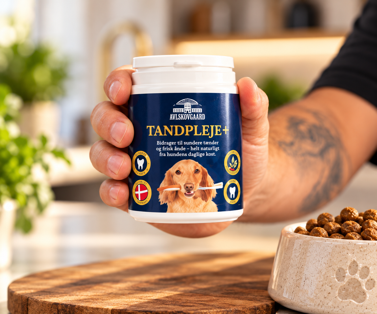 Tandpleje+