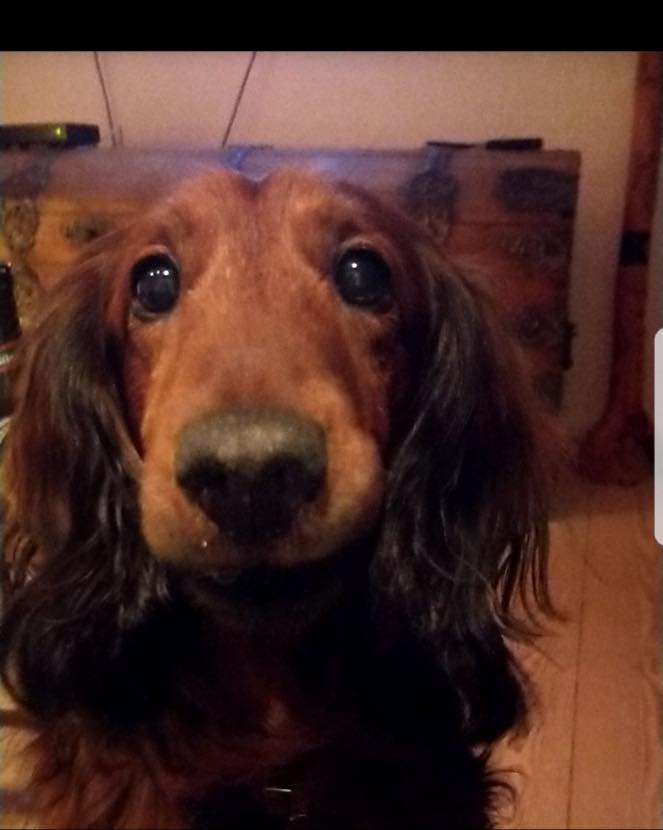 HUGO